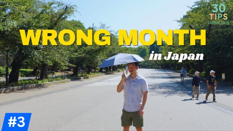 When to Visit Japan? A Season-by-Season Guide