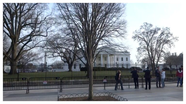 AJ’s DC Adventures!