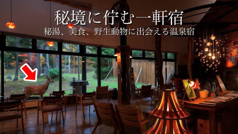 【秘境の一軒宿】秘湯と美食、野生動物に出会える北海道の大人の隠れ家 / 阿寒湖と奥屈斜路湖温泉ランプの宿森つべつ